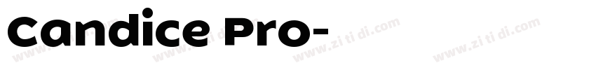 Candice Pro字体转换